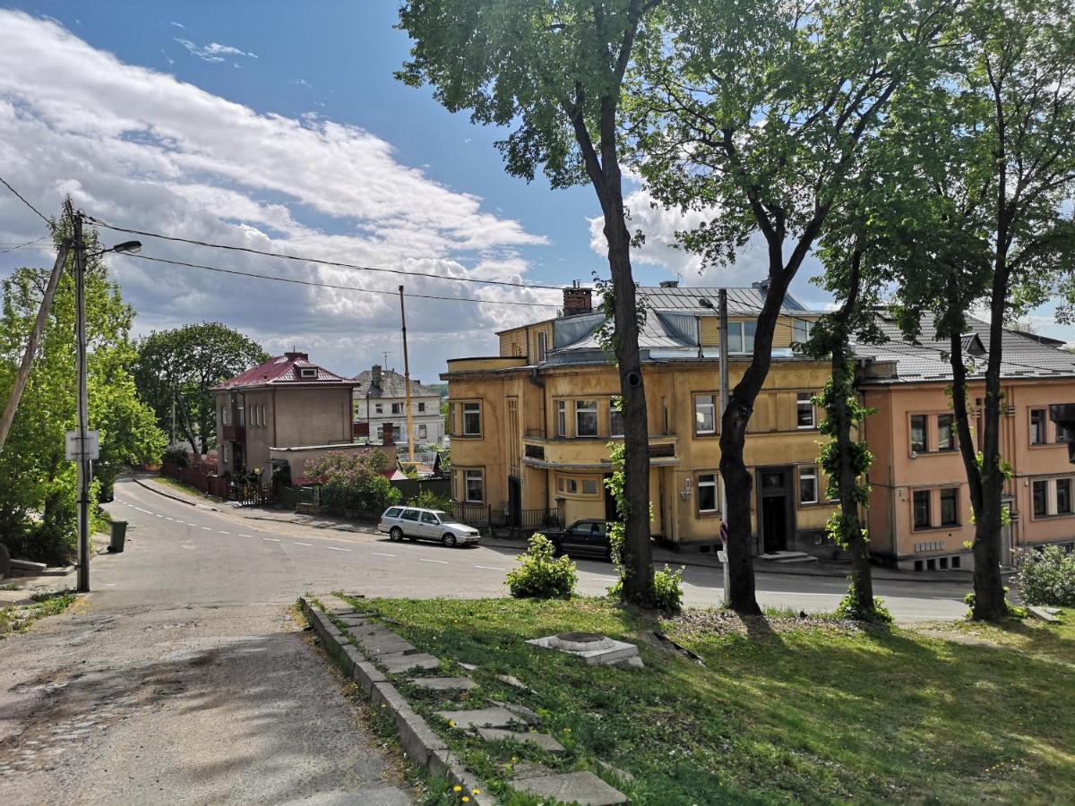 Park Apartment Kaunas Exterior photo